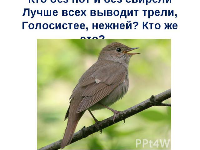 реферат перелетные птицы 2 класс